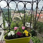 сотирови Veliko Tárnovo